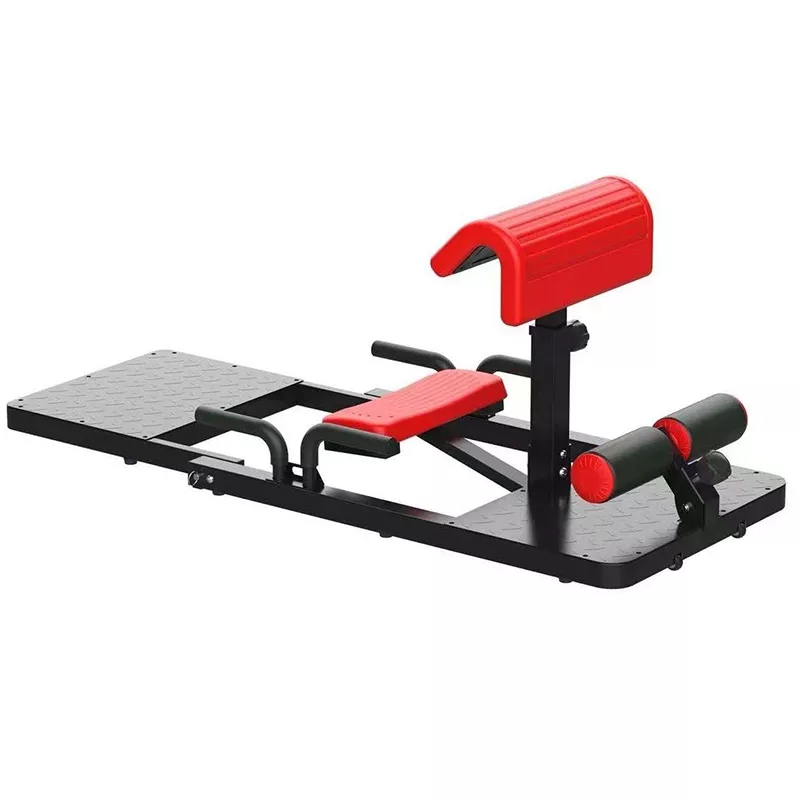Home Gym Quad Machine - Macchina per Squat Sissy 3-in-1, Attrezzo