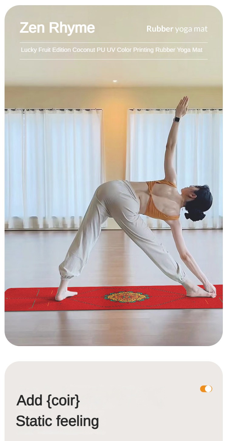 Zen Rhyme glassato Pu tappetin - Gymnastics Mat Thick recensione e prezzo